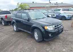 2012 FORD ESCAPE XLT