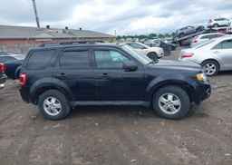 2012 FORD ESCAPE XLT