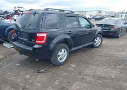2012 FORD ESCAPE XLT
