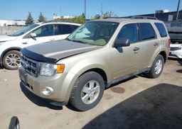 2011 FORD ESCAPE XLT