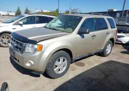 2011 FORD ESCAPE XLT