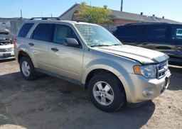 2011 FORD ESCAPE XLT