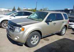 2011 FORD ESCAPE XLT