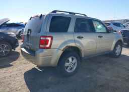 2011 FORD ESCAPE XLT