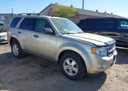 2011 FORD ESCAPE XLT