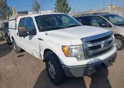 2013 FORD F-150 XLT