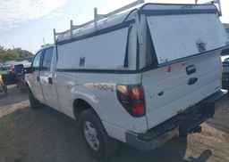 2013 FORD F-150 XLT