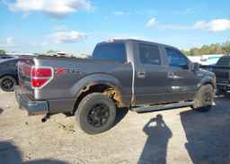 2010 FORD F150 SUPERCREW