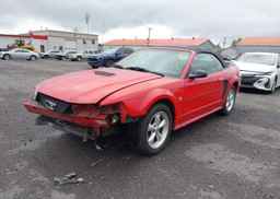 1999 FORD MUSTANG
