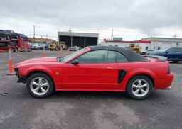 1999 FORD MUSTANG