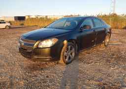2009 CHEVROLET MALIBU 2LT