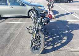 2019 HARLEY-DAVIDSON XL1200 NS