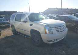 2009 CADILLAC ESCALADE SPORT