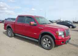 2011 FORD F-150 FX4