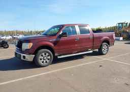 2010 FORD F-150 HARLEY-DAVIDSON