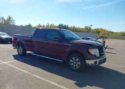2010 FORD F-150 HARLEY-DAVIDSON