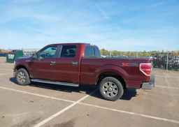 2010 FORD F-150 HARLEY-DAVIDSON