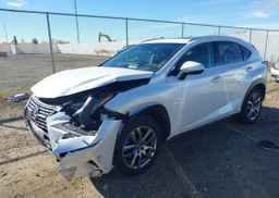 2019 LEXUS NX 300