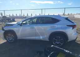 2019 LEXUS NX 300