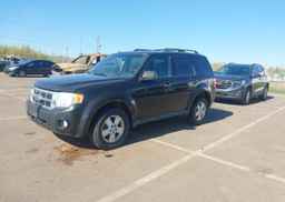 2011 FORD ESCAPE XLT