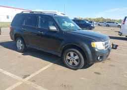 2011 FORD ESCAPE XLT