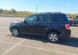 2011 FORD ESCAPE XLT