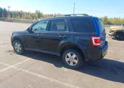 2011 FORD ESCAPE XLT