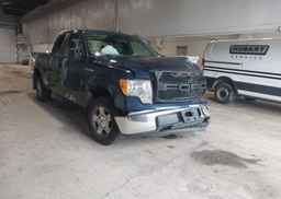 2013 FORD F-150 XLT
