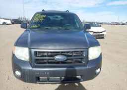 2008 FORD ESCAPE LIMITED