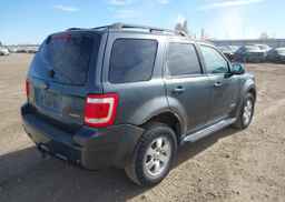 2008 FORD ESCAPE LIMITED