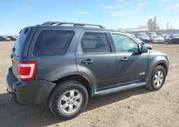 2008 FORD ESCAPE LIMITED
