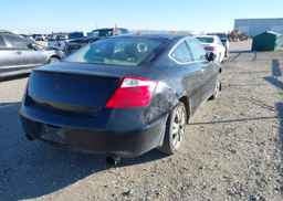 2008 HONDA ACCORD EXL