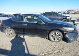 2008 HONDA ACCORD EXL