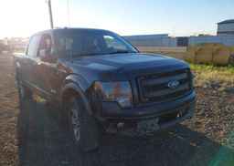 2013 FORD F-150 FX4