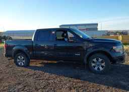 2013 FORD F-150 FX4