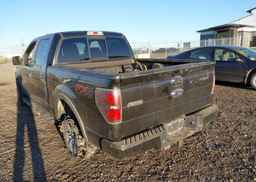 2013 FORD F-150 FX4