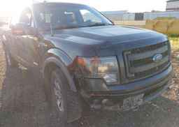 2013 FORD F-150 FX4