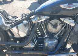 2007 HARLEY-DAVIDSON FLSTN