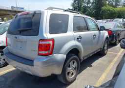 2009 FORD ESCAPE XLT