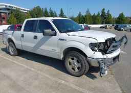 2013 FORD F150