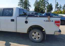 2013 FORD F150