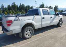 2013 FORD F150