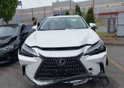 2025 LEXUS NX 450H LUXURY