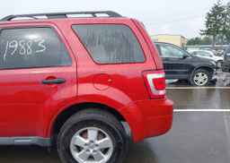 2011 FORD ESCAPE XLT