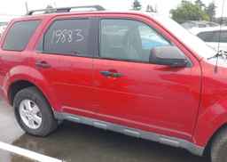 2011 FORD ESCAPE XLT