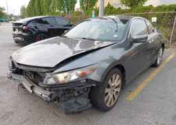 2010 HONDA ACCORD EXL