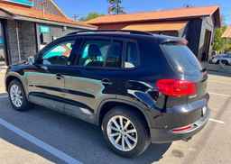 2017 VOLKSWAGEN TIGUAN WOLFSBURG