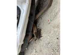 2005 GMC SIERRA K2500 HEAVY DUTY