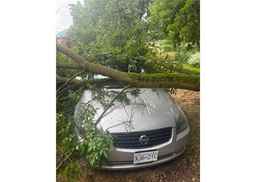 2005 NISSAN ALTIMA S