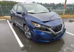 2019 NISSAN LEAF